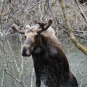 Meet your Posher, Tim